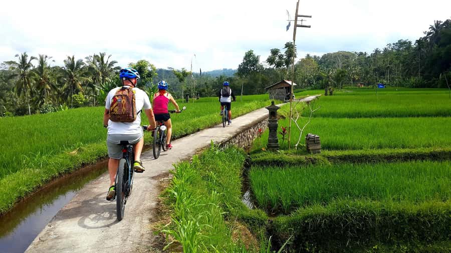 Ubud: Half-Day Tegallalang Electric Cycling Tour - Electric e-bikes and what half-day in Ubud really feels like