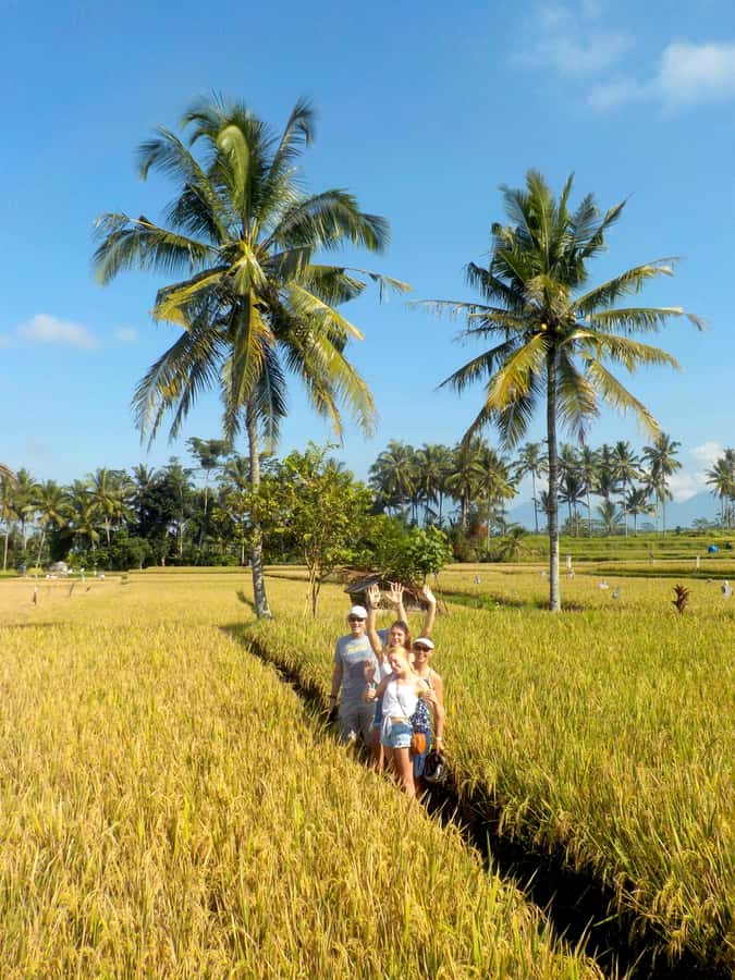 Ubud: Half-Day Tegallalang Electric Cycling Tour - Tegallalang rice terraces: photo stop plus rice-farming context