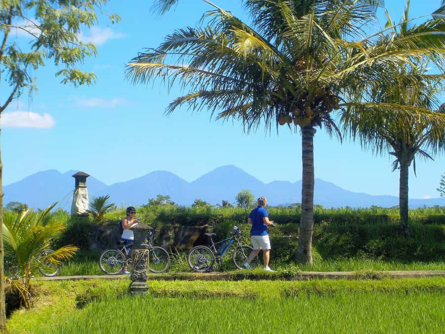 Ubud: Half-Day Tegallalang Electric Cycling Tour - Should you book this Ubud Tegallalang electric cycling tour?