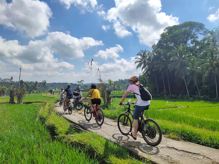 Ubud: Half-Day Tegallalang Electric Cycling Tour - Pickup, helmets, and the safety routine that matters