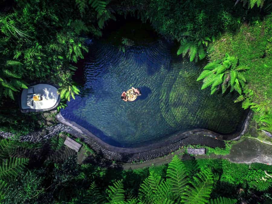 Ubud: Half-Day Zipline and Jungle Swing Adventure - Zipline over coconut trees: fast thrills with real supervision
