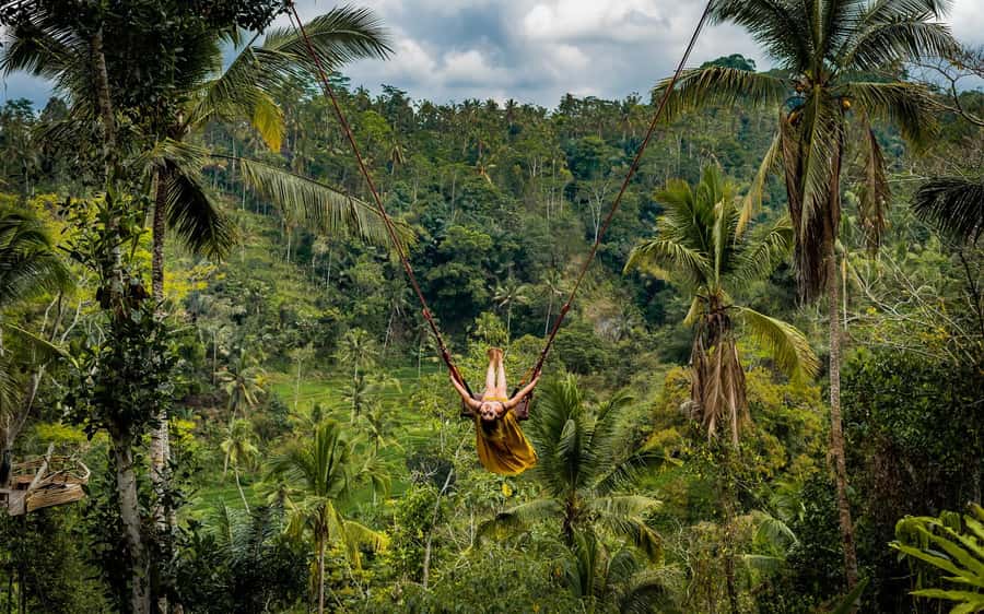 Ubud: Half-Day Zipline and Jungle Swing Adventure - Bird nest photo spots and the guide-photo advantage