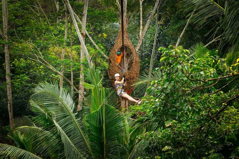 Ubud: Half-Day Zipline and Jungle Swing Adventure - Coffee and herbal tasting: what you actually learn and sip