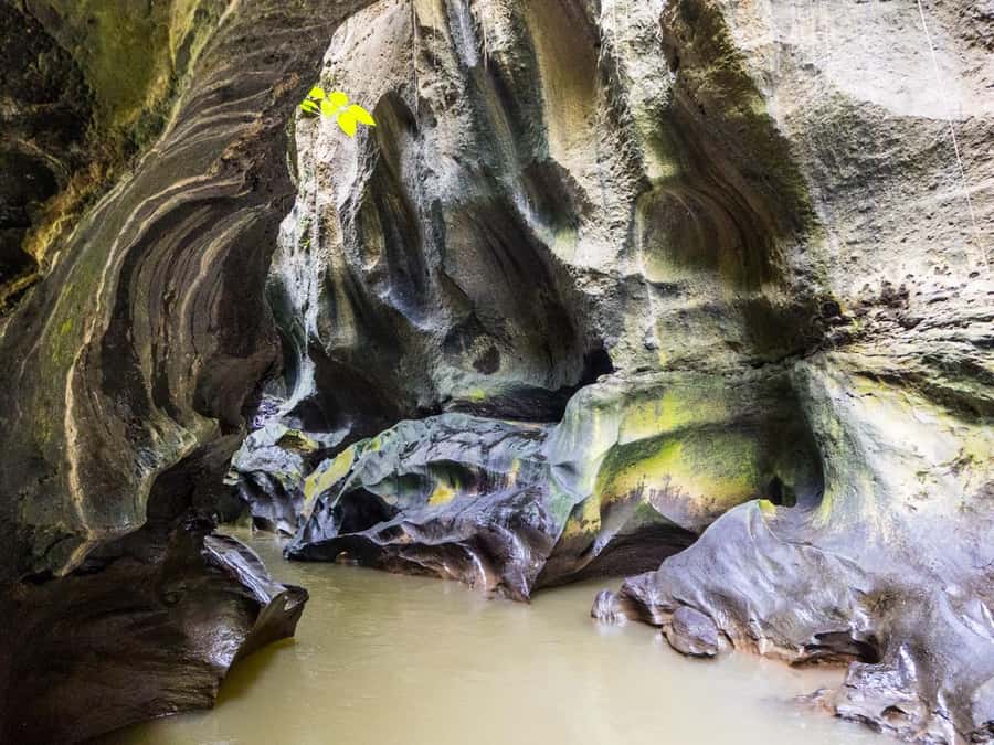 Ubud: Hidden Canyon Beji Guwang Guided Tour - Water Shoes, Vests, Towels, Shower: What You’ll Need for Comfort