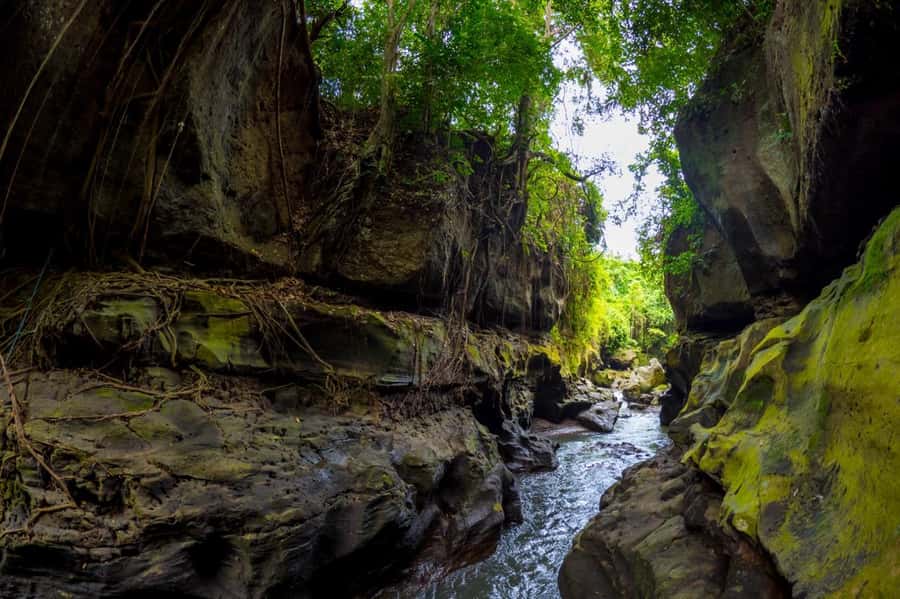 Ubud: Hidden Canyon Beji Guwang Guided Tour - Your Guide Matters: Safety, Pacing, and Bali Stories in the Canyon
