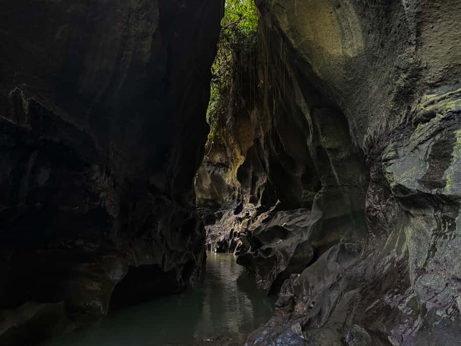 Ubud: Hidden Canyon Beji Guwang Guided Tour - Photos, Sounds, and the Little Details You’ll Actually Remember