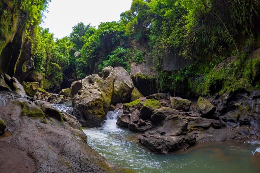 Ubud: Hidden Canyon Beji Guwang Guided Tour - Who Should Book (and Who Should Skip)