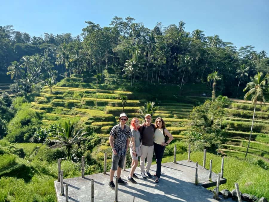 Ubud: Hidden Gems and Waterfalls Private Tour - Cantik Balinese Plantation: Tastings That Teach More Than You Think