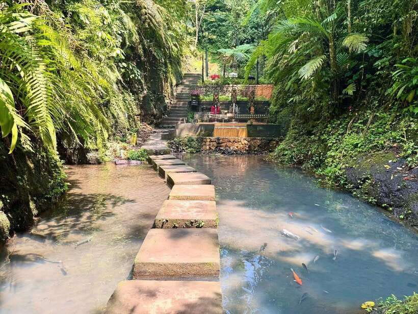 Ubud: Hidden Waterfall, Monkey Forest, Rice Terrace & Swing - Price and Value for a Private Car in Ubud