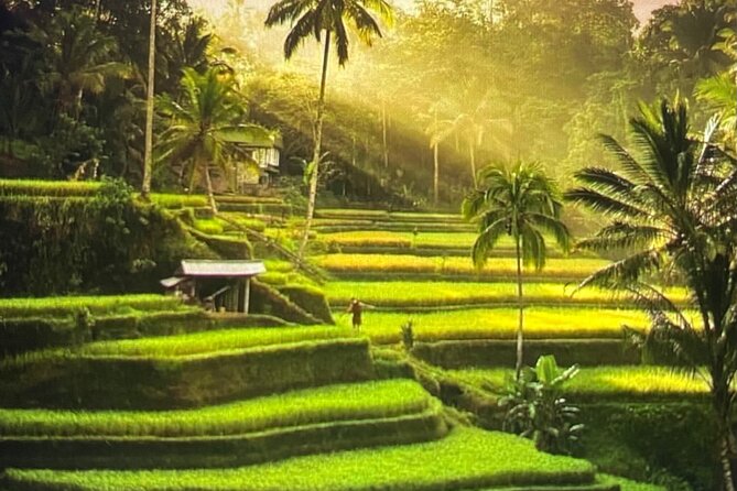 Ubud Highlight Rice Terrace,Waterfall,Temple and Art village - Key things to look forward to