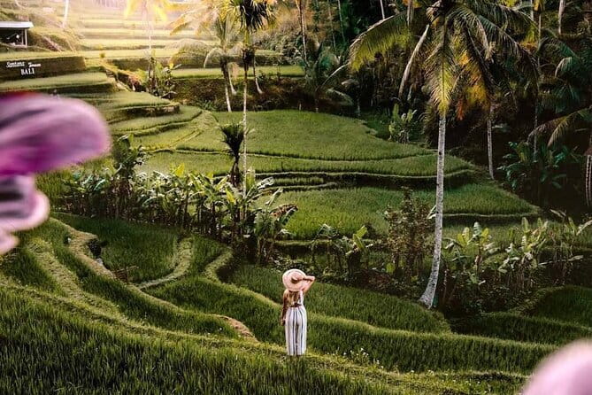 Ubud Highlights -Private Tour,Temples, Waterfalls & Rice terraces - Key things that make this Ubud day work