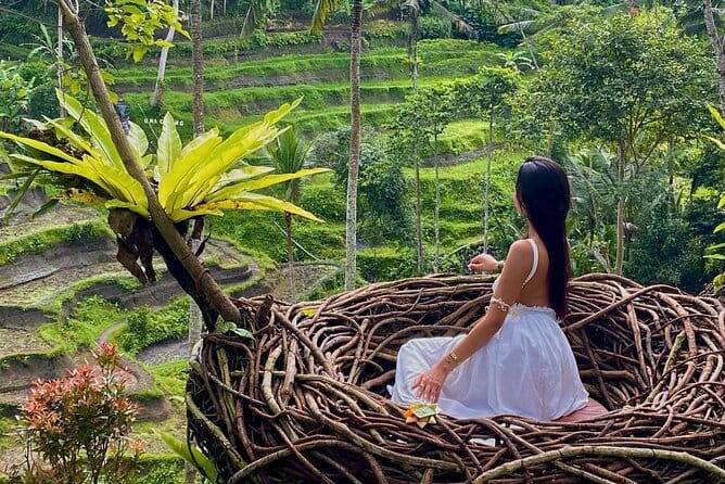 Ubud Highlights -Private Tour,Temples, Waterfalls & Rice terraces - A practical overview: what you’re really buying for $33