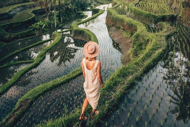Ubud Highlights Shared Tour – Small Group Full-Day Experience - How the meeting point and 8:00 start shape your day
