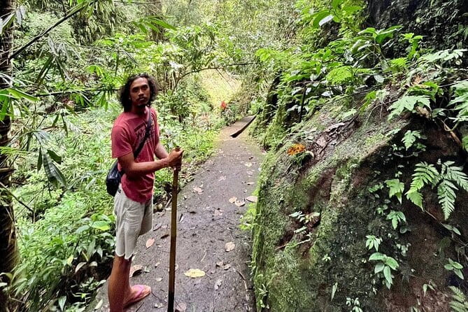 Ubud Highlights Shared Tour – Small Group Full-Day Experience - Tegalalang Rice Terrace: walking the irrigation wonder at the right time