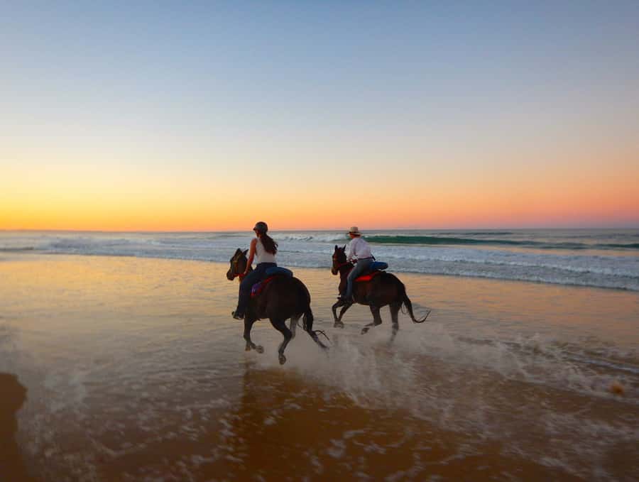 Ubud: Horse Riding, Zip-Line Tour & Waterfall Tour - Key Points Before You Go