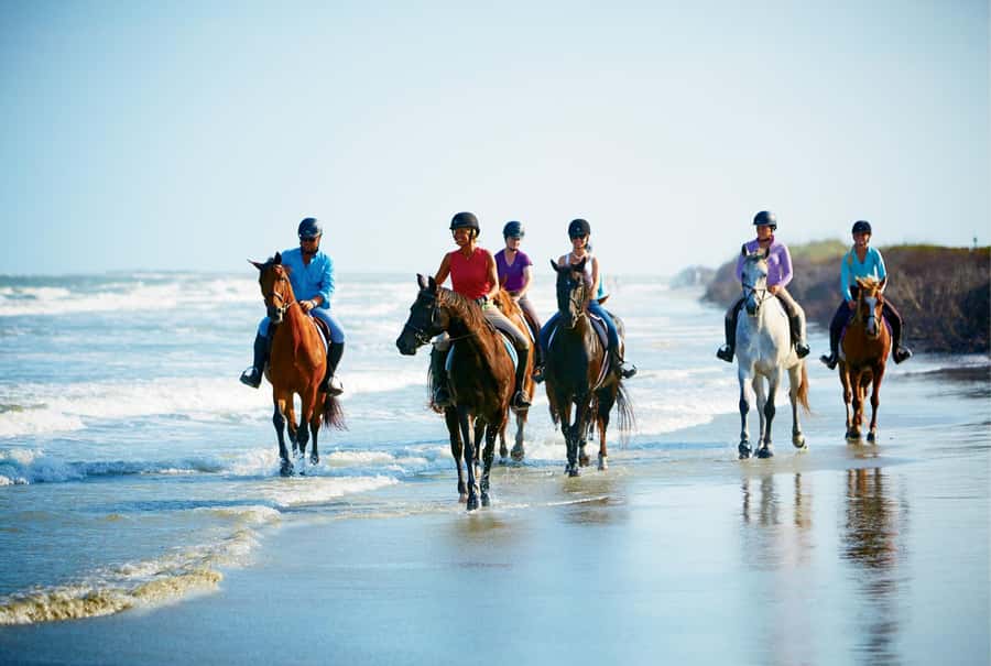 Ubud: Horse Riding, Zip-Line Tour & Waterfall Tour - The Waterfall Stop: A Short Trek, Mountain Water, and Swim Time
