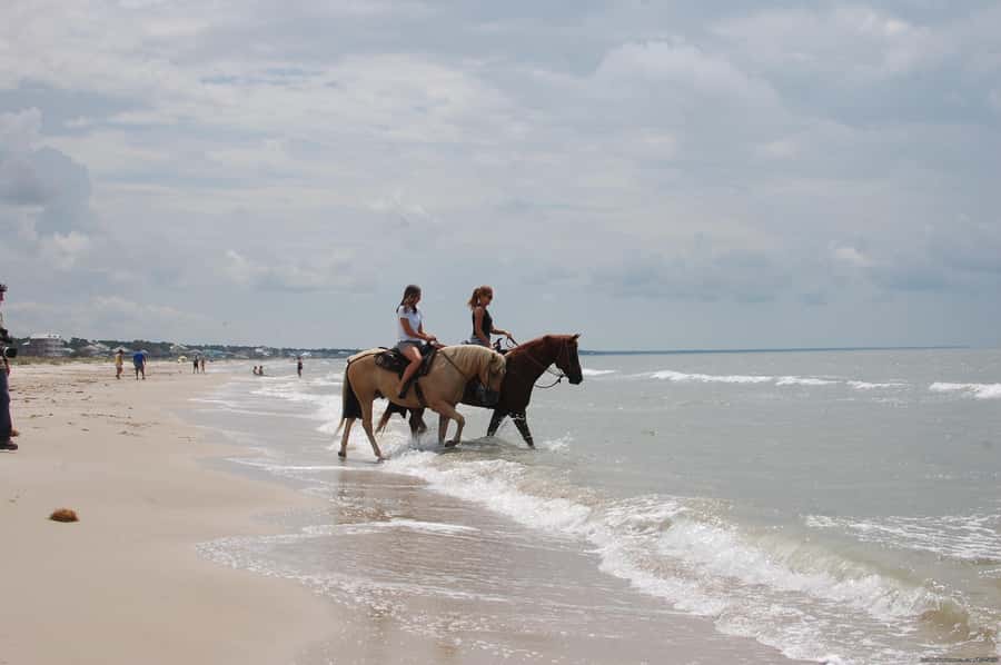 Ubud: Horse Riding, Zip-Line Tour & Waterfall Tour - Who This Tour Suits Best (and Who Should Skip It)