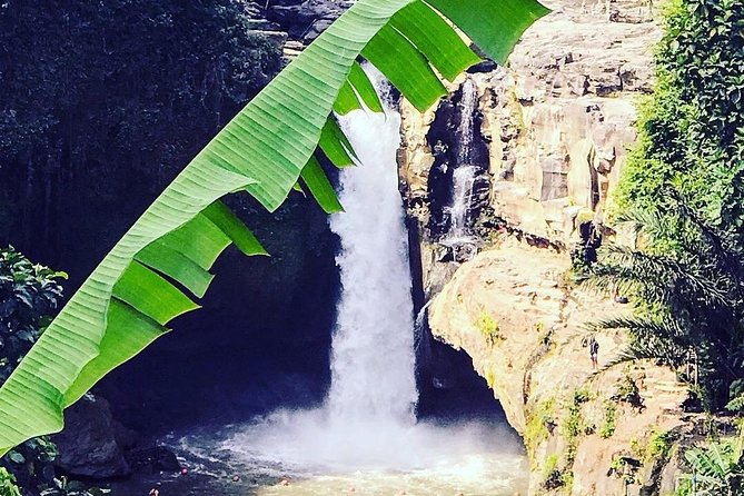 Ubud iconic waterfall and temple tours - The 8:00 a.m. start: why timing matters in Ubud