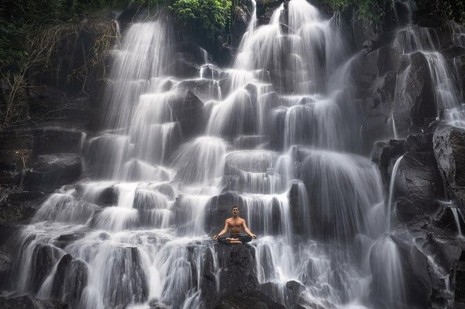 Ubud Instagram: Waterfall Tours - Tegenungan Waterfall Plus Ubud Palace: Big-Name Access and a Cultural Reset
