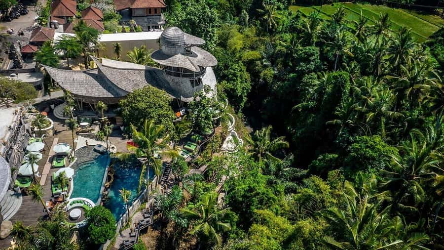 Ubud: Jungle Club Day Pass with Optional Upgrades - Your day setup: pool, daybed, and jungle views