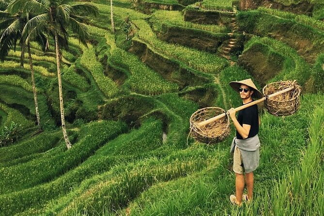 Ubud Jungle Swing - Monkey Forest - Water Temple - Waterfall - Key Points Before You Go