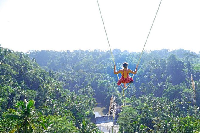 Ubud Jungle Swing, Temple & Waterfall Tour (Private Half Day Tour) - Transfers, Wi‑Fi, and the value of a private group