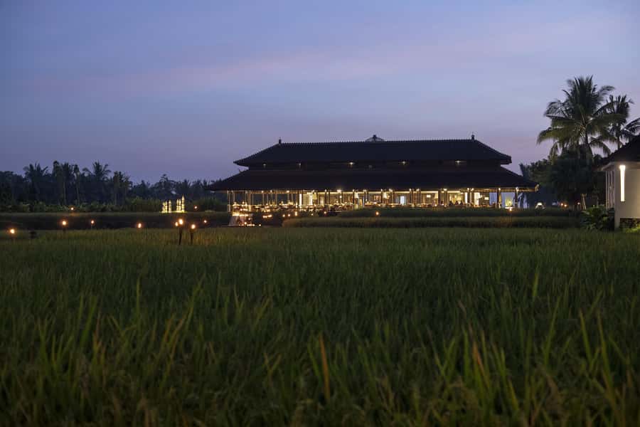 Ubud: Kecak Dance and Royal Balinese Dinner - Who this is best for in Ubud