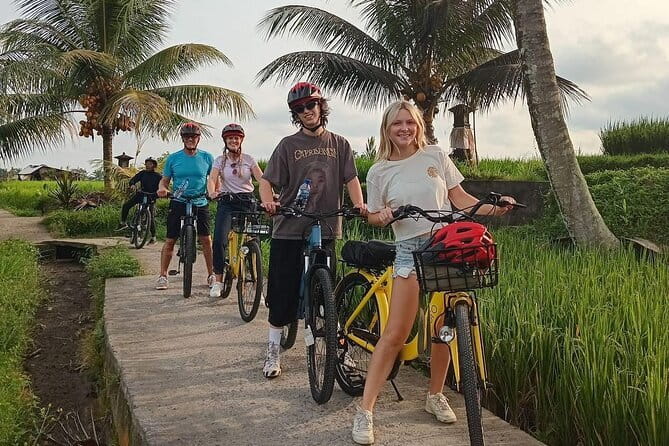 Ubud : Kintamani Downhill Cycling Tour with Lunch - Key highlights at a glance