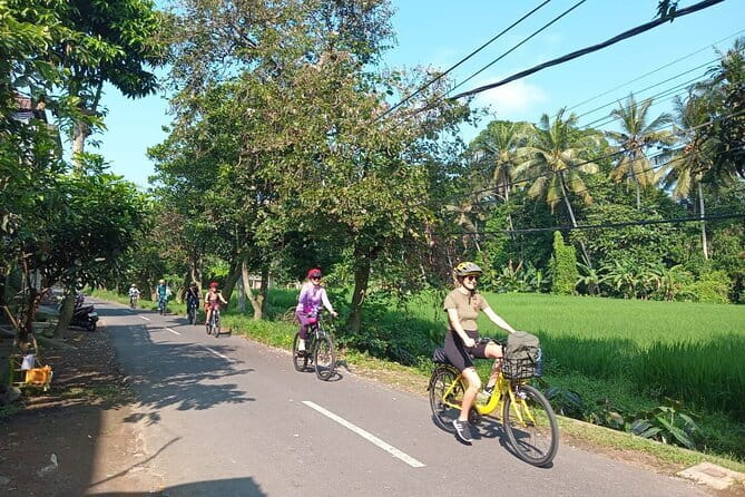 Ubud : Kintamani Downhill Cycling Tour with Lunch - Istana Tampak Siring and lunch at The amertha Restaurant