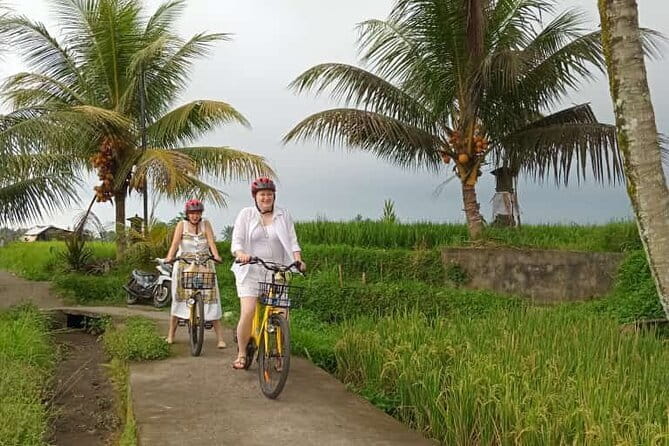Ubud : Kintamani Downhill Cycling Tour with Lunch - The Bayung Gede start: briefing first, then rolling