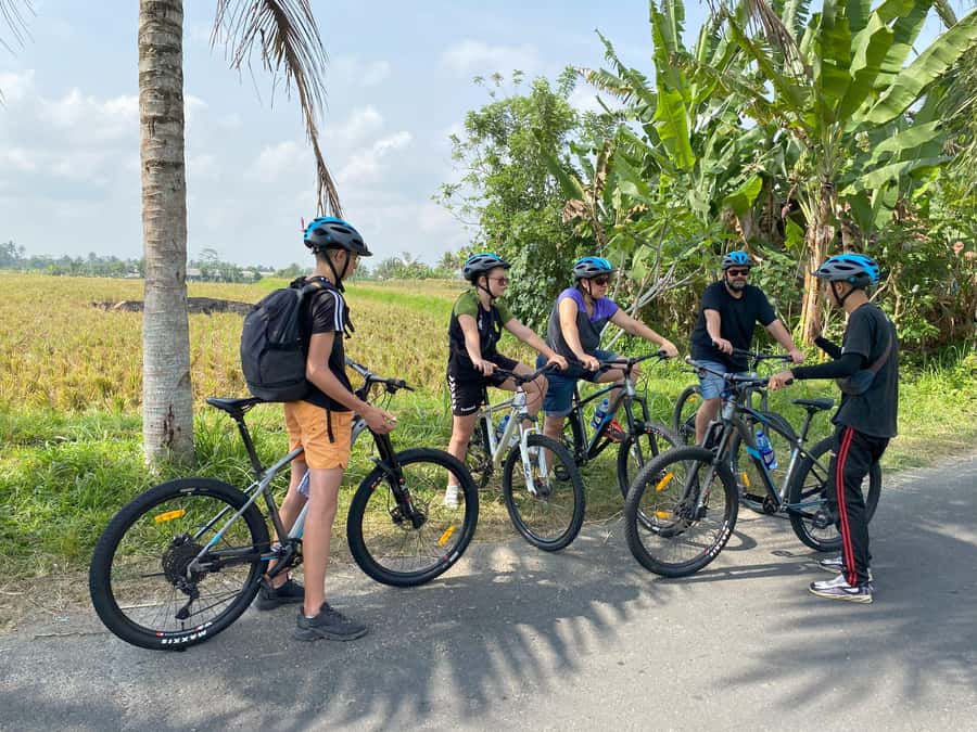 Ubud: Kintamani Downhill Cycling with small group & Private - Key Highlights You Should Care About