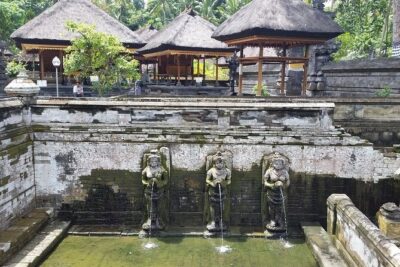 Ubud Kintamani Tour - Price and Value: What $60 Actually Covers