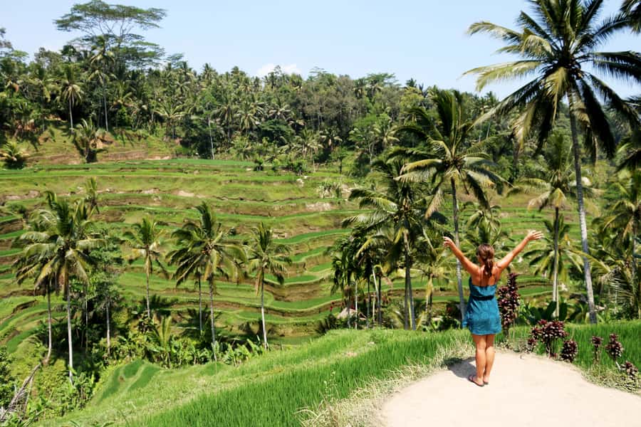 Ubud: Monkey Forest and Rice Terrace Private Tour - Key things to know before you go