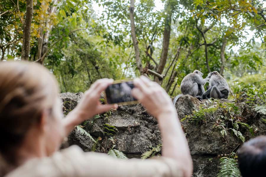 Ubud: Monkey Forest, Ceking Rice Terraces and More– Full Day - Why this Ubud day works: waterfall first, temples last