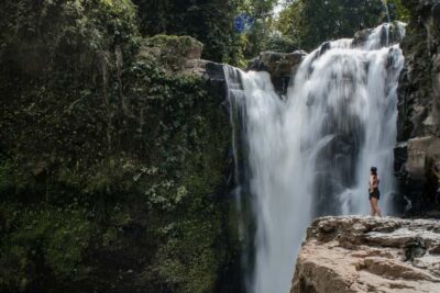 Ubud: Monkey Forest, Ceking Rice Terraces and More– Full Day - Pickup, waiting rules, and the morning traffic reality