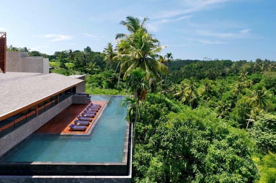 Ubud/Monkey Forest: Habitat Bistro Dining E-Voucher - Key takeaways before you go