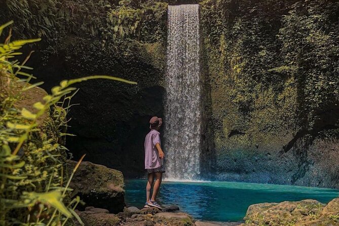Ubud Monkey Forest, Holy Water Temple & Waterfalls Tours - A private Ubud day built for culture plus waterfalls