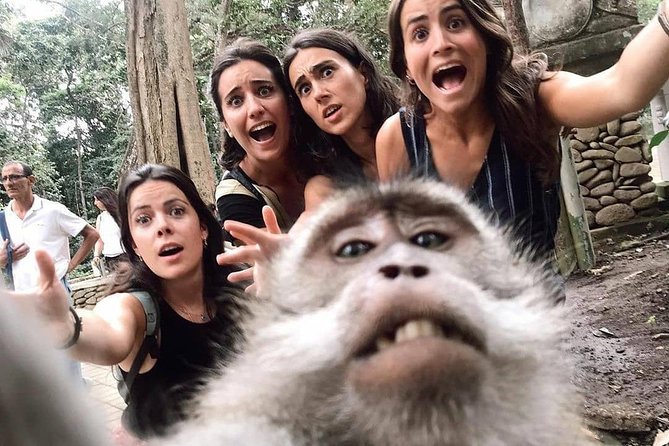 Ubud Monkey Forest, Holy Water Temple & Waterfalls Tours - Stop 2: Tegalalang Rice Terrace and irrigation lessons