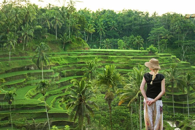 Ubud: Monkey Forest, Jungle Swing, Rice Terrace, and Water Temple - A Ubud day built around jungle, water, and ritual