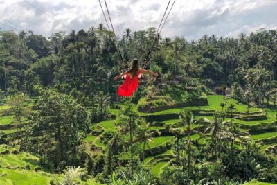 Ubud: Monkey Forest, Jungle Swing, Rice Terrace, and Water Temple - Price and logistics: what $31 really covers