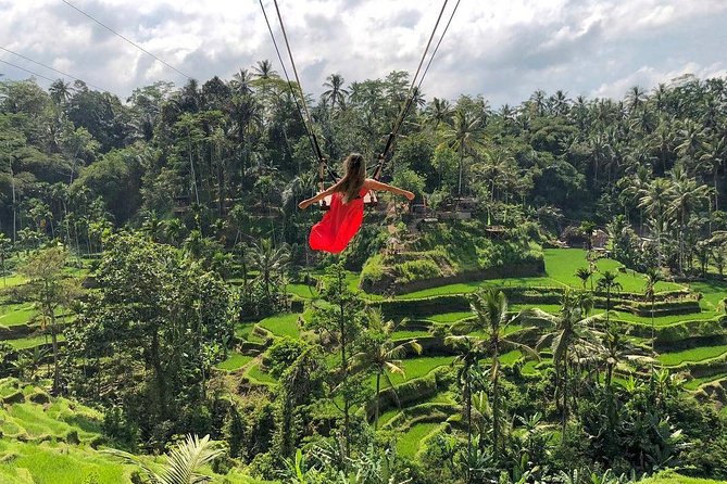 Ubud: Monkey Forest, Jungle Swing, Rice Terrace, and Water Temple - Price and logistics: what $31 really covers