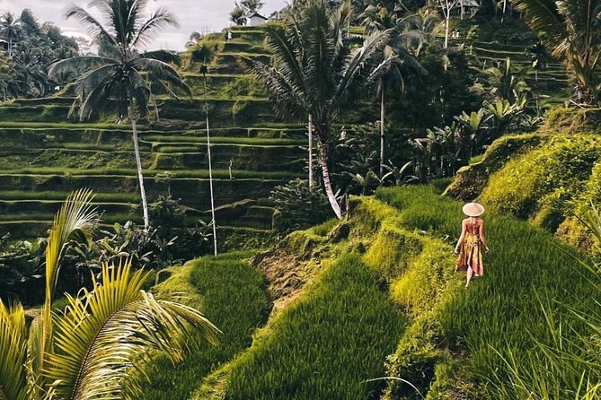Ubud Monkey Forest, Rice Terrace & Tirta Empul Temple Tour - Key highlights you’ll feel all day