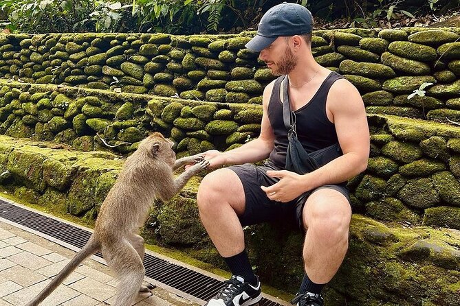 Ubud Monkey Forest, Rice Terrace & Tirta Empul Temple Tour - Monkey Forest Sanctuary: Hundreds of macaques up close