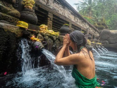 Ubud : Monkey Forest, Rice Terrace, Waterfall / Private Tour - Private transport and flexible pacing from your hotel