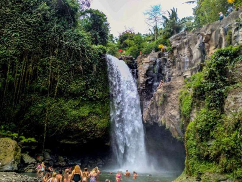 Ubud : Monkey Forest, Rice Terrace, Waterfall / Private Tour - Tirta Empul Temple and the Merkat purification ritual
