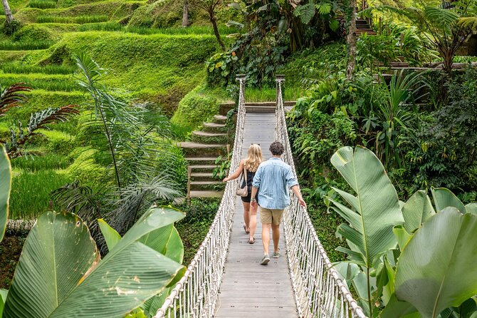 Ubud: Monkey Forest, Rice Terraces & Sacred Temples - A Day in Ubud That Mixes Wildlife, Worship, and Rice Views