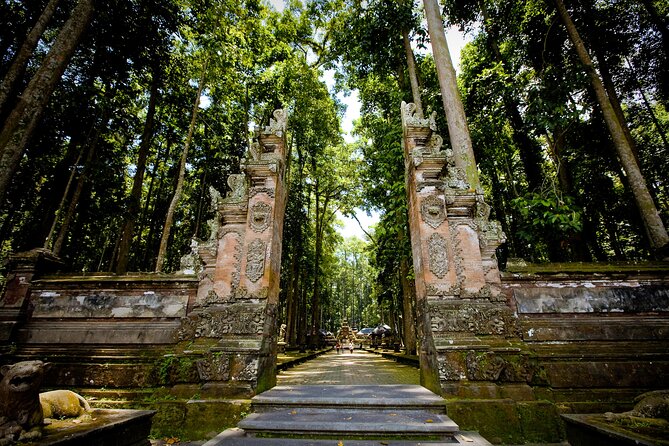 Ubud: Monkey Forest, Rice Terraces & Sacred Temples - Stop 4: Tegalalang Rice Terraces and the Green View Everyone Remembers