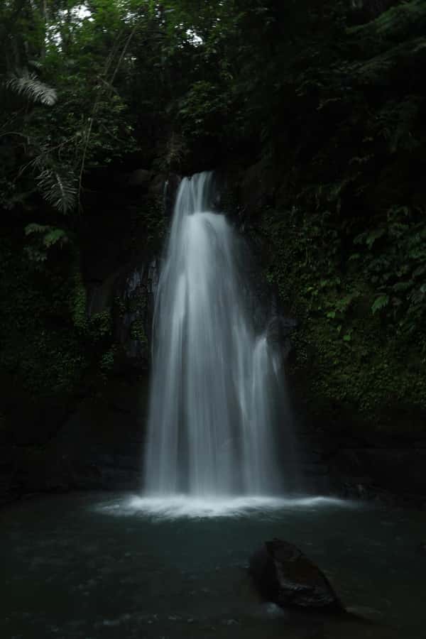 Ubud, Monkey forest, Riceterace Waterfall, Purification - What you get for the price: value check for $21 per person