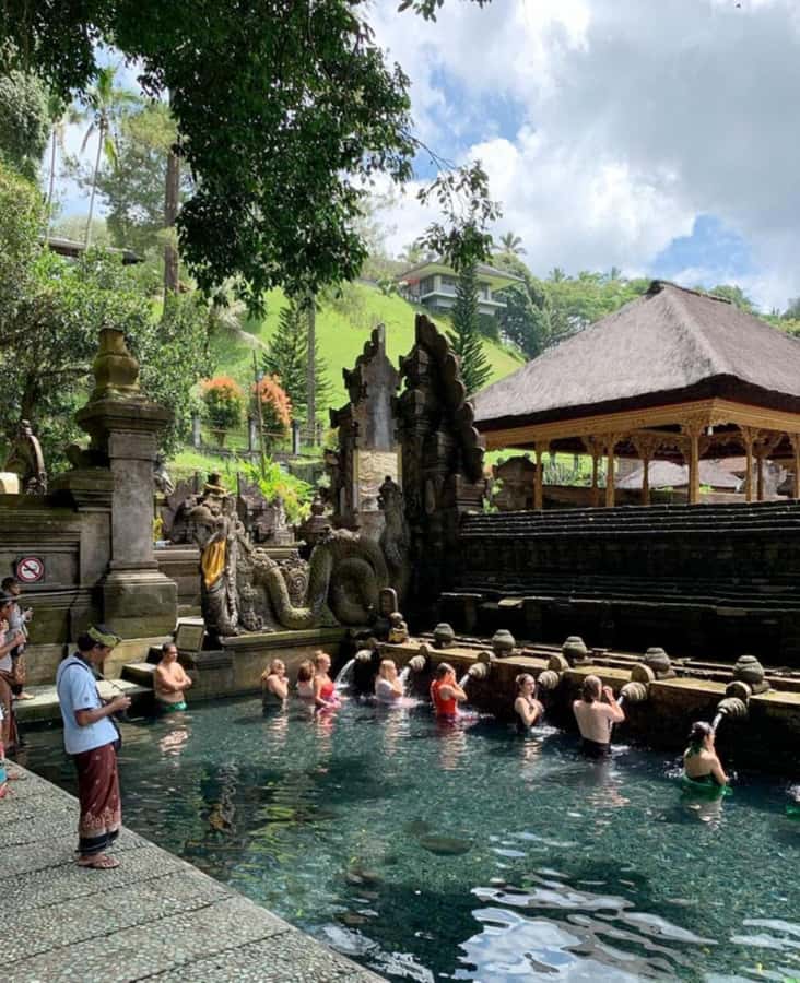 Ubud, Monkey forest, Riceterace Waterfall, Purification - Your 8-hour route through Ubud’s biggest hits (and why it works)