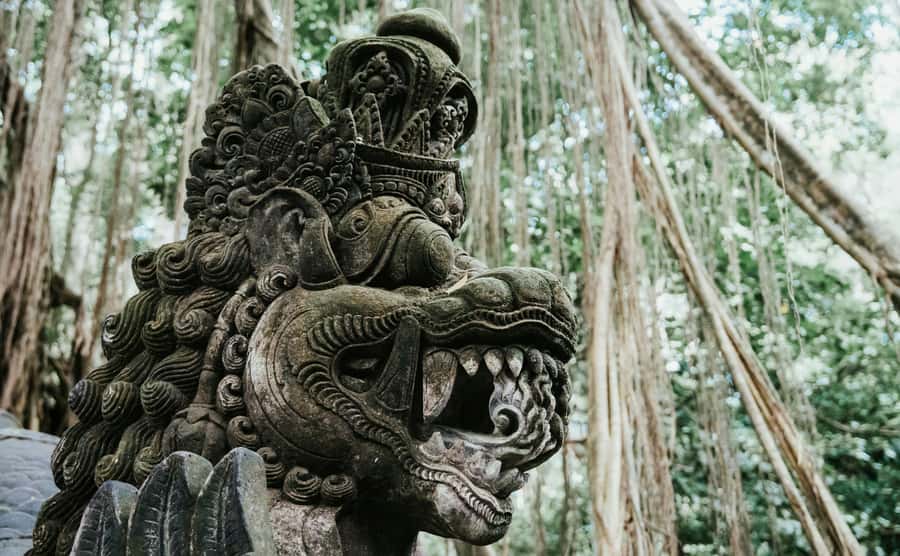 Ubud, Monkey forest, Riceterace Waterfall, Purification - Monkey Forest: the fun part, plus the rules you’ll want